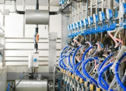 pexels-shvetsa-5953813